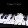 88 toetsen - Kleurrijke pianotoetsen - transparante toetsenbordstickers
