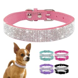 Leather collar with rhinestones for dogs and catsCollars & Leads