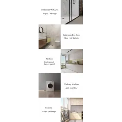Modern floor drain - insect proof - anti-blocking - stainless steel filterDrains