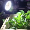 30W - 50W - 80W -100W - 120W - E27 - LED Pflanze wächst Licht - volles Spektrum
