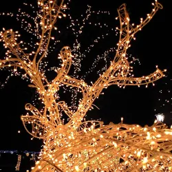 Christmas Decorations - Solar String - Fairy Lights - WaterproofVerlichting