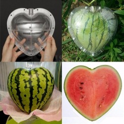 Square - Heart Shape - Watermelon Shaping - MoldKeuken