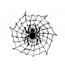 Spider auf einem Spinnennetz - Autoaufkleber