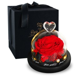 Reservierte ewige Rose - Glasbox mit Licht - Valentinstag / Hochzeitsgeschenk