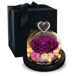 Bewaarde eeuwige roos - glazen doos met licht - Valentijnsdag / huwelijksgeschenkValentijnsdag