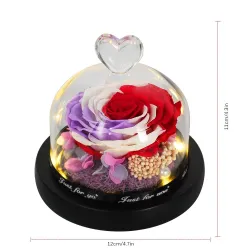 Bewaarde eeuwige roos - glazen doos met licht - Valentijnsdag / huwelijksgeschenkValentijnsdag