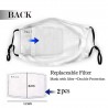 Face / mouth protective mask with 2 PM2.5 filters - for adults / children - world mapMouth masks
