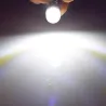 E10 - LED-lamp - 3V / 6V - xenon wit - 2 stuksE10