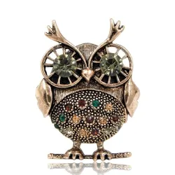 Retro grote ogen uil - broche met kristallen versieringenBroches