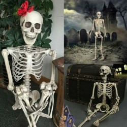 Menselijk skelet op ware grootte - verplaatsbaar - Halloween decoratie - 40cmHalloween & feest