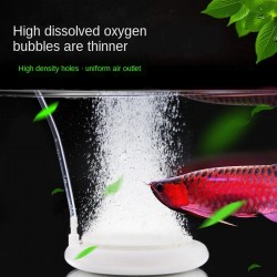 Aquarium nano bellenbak - zuurstof / luchtbellenpompAquarium