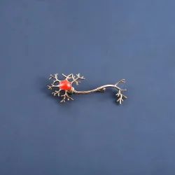 Medical neuron gene - with red stone - broochBrooches
