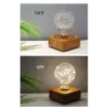 Modern LED night light - USB - copper wire string bulbLights & lighting