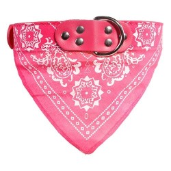 Verstellbares Halsband mit Schal - für Hunde / Katzen / Haustiere