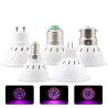 LED Pflanzenlampe - Glühbirne - Hydroponik - Vollspektrum - E27 / E14 / GU10 / MR16 / B22 - 220V - 3W / 4W / 5W