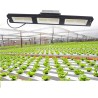 Pflanzenwachstumslampe - LED-Licht - Samsung LM561C Cree 660nm Chip - 73W / 150W