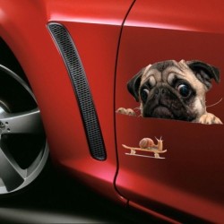 Autofensteraufkleber - Vinyl - wasserfest - Hund mit Schnecke