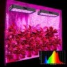 Pflanzenwachstumslampe - Vollspektrum - Hydrokultur - LED-COB-Licht - 1220 W / 2400 W / 3600 W