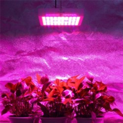 Pflanzenwachstumslampe - LED-Hydrokulturpanel - 300 W / 600 W