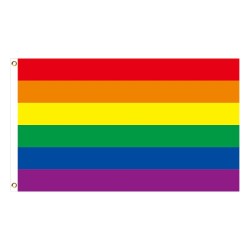 Hängebanner - Flagge - LGBT / Transgender / Pansexuell / Fortschritt / PRIDE / Regenbogen
