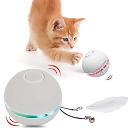 Interaktives Spielzeug für Hunde/Katzen – Ball mit Licht/Sound/Feder – USB