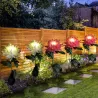 Chrysant bloemvormige lamp - tuinlamp - solar - LED - waterdichtSolar verlichting