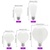 LED Edison lamp - melkglas - 5W - AC110V 220V - G80 - G95 - G125 - A60 - ST64Lampen