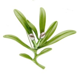 Elegante Brosche mit grüner Olive