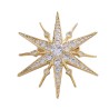 Luxuriöse sternförmige Brosche - Zirkonia