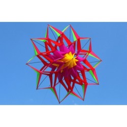Sport/strand vlieger - 3D bloem - met handvat/lijnVliegers