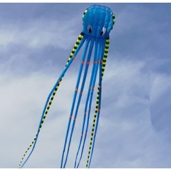 Sport-Stranddrachen - aufblasbar - faltbar - gestreifter Oktopus - 8M