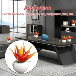 Dekorative Kühlschrankmagnete - Tisch-/Schreibtischdekoration - Kaktus - Orchidee