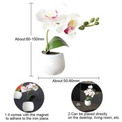 Dekorative Kühlschrankmagnete - Tisch-/Schreibtischdekoration - Kaktus - Orchidee