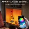 LED-nachtlampje - Bluetooth - app-bediening - 180° draaibaar - RGB - muzieknootvormVerlichting