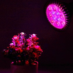 LED plant grow lamp - hydroponic light - E27 - 6W - 15W - 21W - 27W - 36W - 45W - 54WGrow Lights