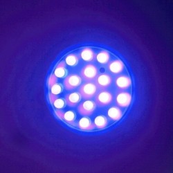 Pflanzenwachstumslampe - 20 LED - UV-Licht - E27 - 1W