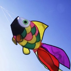 Regenboogvis - vliegerVliegers