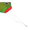 Rainbow fish - kiteKites