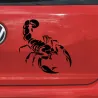 3D scorpion - car stickerStickers