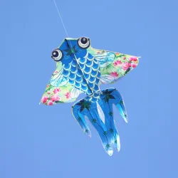 Foldable kite - colorful beeKites