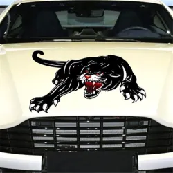 Zwarte tijger - vinyl autostickerStickers