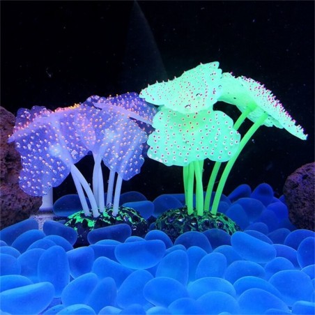 Leuchtende Seeanemone - Aquariendekoration