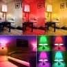 LED lamp - E12 - E14 - RGB - met afstandsbediening - dimbaarE14