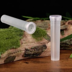 Transparente Kunststoffröhren – Mini-Blumenhalter – Wasserbehälter – 50 Stück