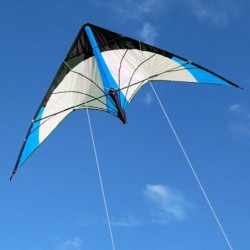 Driehoeksvormige vlieger - met dubbele lijn/handvatVliegers