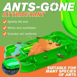 Anti-mierenaas - dodend poederInsectenbestrijding