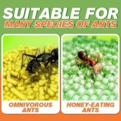 Anti-Ameisen-Köder – Tötungspulver