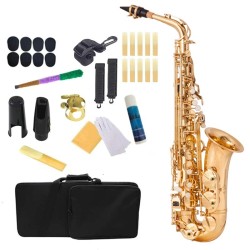copy of Professionele saxofoon - toets-Eb Alto - met koffer / accessoiresSaxofoon