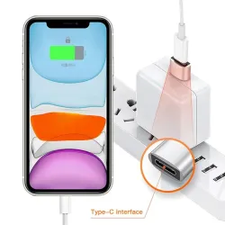 USB naar type C - OTG-adapter - USB-C - mannelijk naar micro USB type-C vrouwelijk - converter - 2 stuksAccessoires