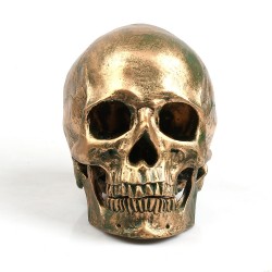 Menschlicher Schädel aus Kunstharz - Bronze